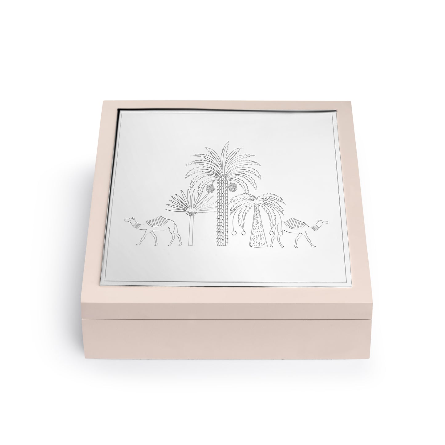 Camels Under Palm Trees Box